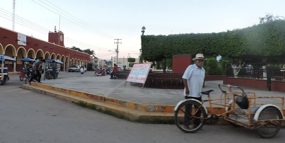 parquepeto